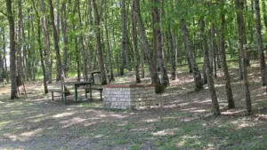 Öffentlicher Grillplatz mit gemauertem Feuerkorb in einem bewaldeten Erholungsgebiet.