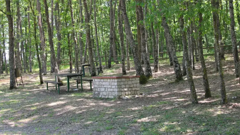 Öffentlicher Grillplatz mit gemauertem Feuerkorb in einem bewaldeten Erholungsgebiet.