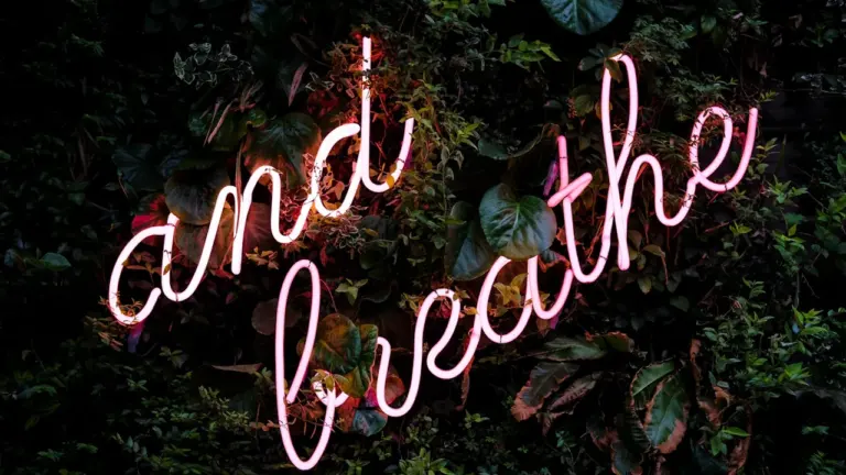 Ein neonfarbener Schriftzug mit der Aufschrift breathe vor grünen, natürlichen Blättern.