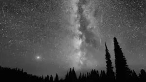 Silhouetten von Nadelbäumen unter einem eindrucksvollen Sternenhimmel mit Milchstraße und Sternschnuppen.