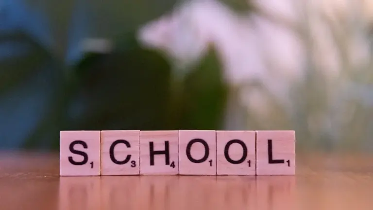 Holzwürfel mit dem Wort School auf einem Tisch in Deutschland platziert.