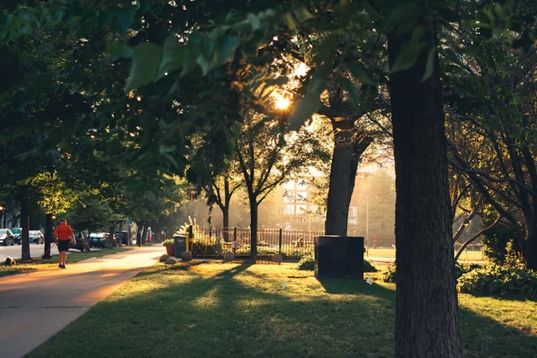 Sommerabend am 21. August: Ruhige Orte in der Stadt