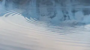 Sanfte Wellenringe breiten sich auf der ruhigen Wasseroberfläche eines Sees aus.