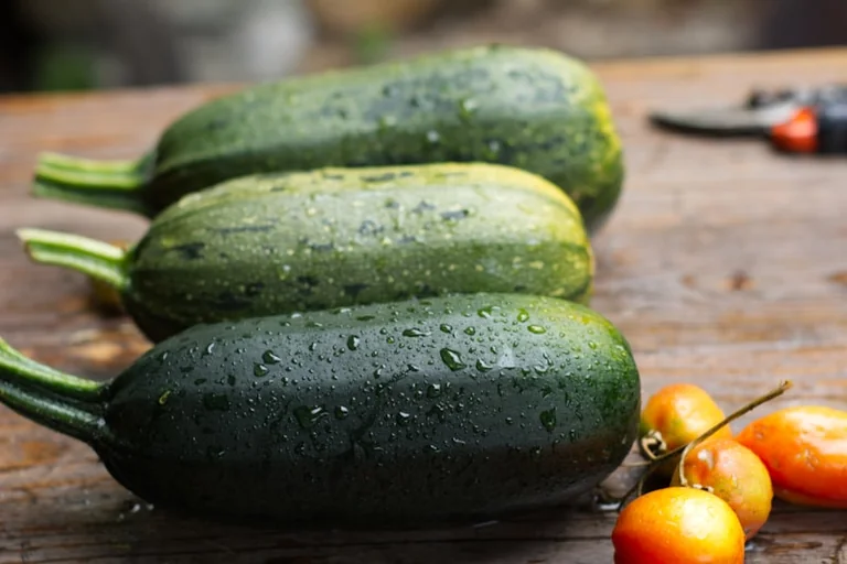 Zucchini-Pfanne mit Kirschtomaten und Feta